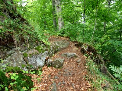 Schoeneburgweg (7)