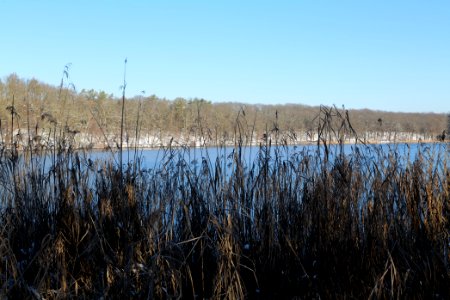 Schlachtensee with ice 2021-01-31 33