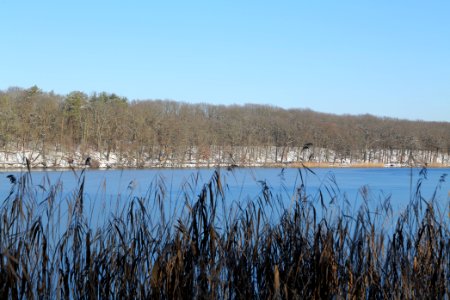 Schlachtensee with ice 2021-01-31 31