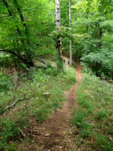 Schoeneburgweg (4)