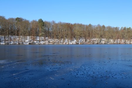 Schlachtensee with ice 2021-01-31 24