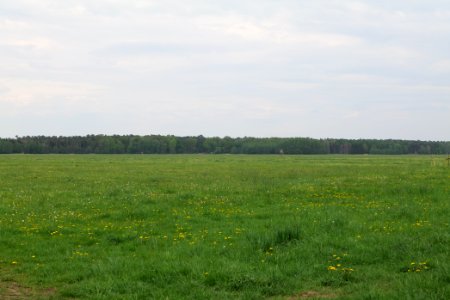 Schleuensches Luch 2020-05-10 10