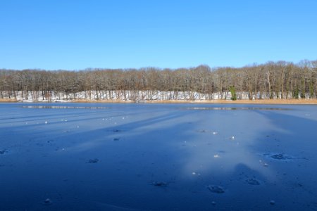 Schlachtensee with ice 2021-01-31 17