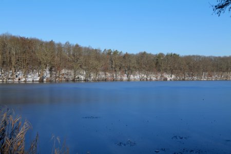 Schlachtensee with ice 2021-01-31 29