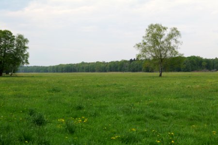 Schleuensches Luch 2020-05-10 07