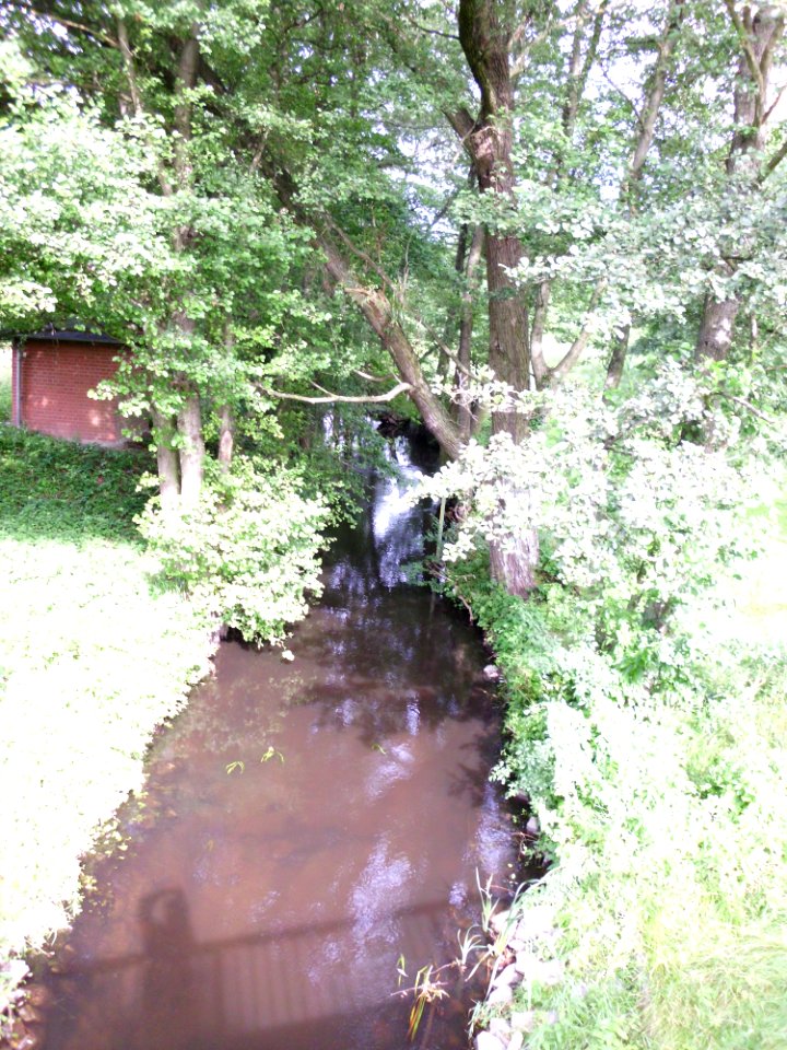 Schlatbach 1