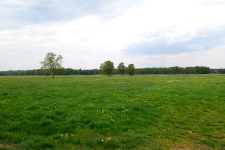 Schleuensches Luch 2020-05-10 08