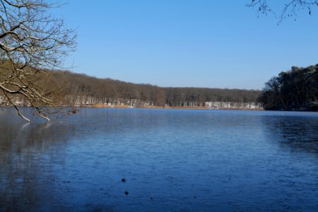 Schlachtensee with ice 2021-01-31 39