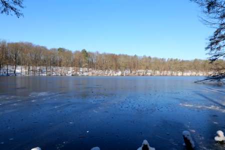 Schlachtensee with ice 2021-01-31 25
