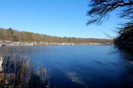 Schlachtensee with ice 2021-01-31 27