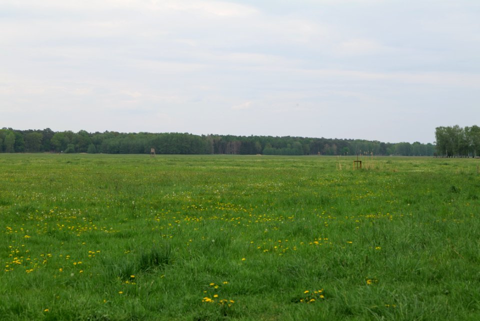 Schleuensches Luch 2020-05-10 01