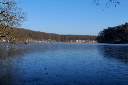Schlachtensee with ice 2021-01-31 41