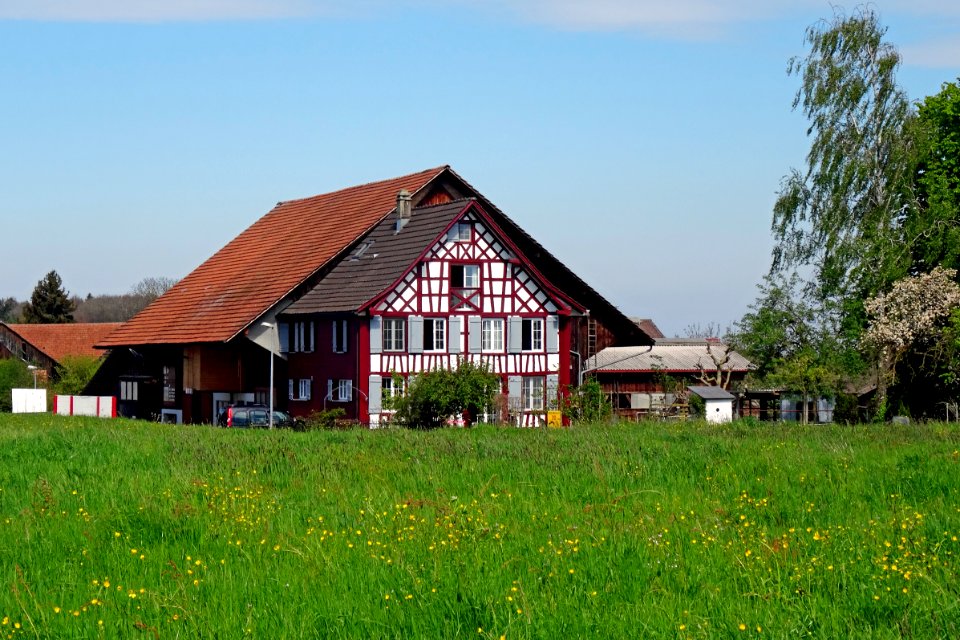 SchoenenbaumgartenFeldstr