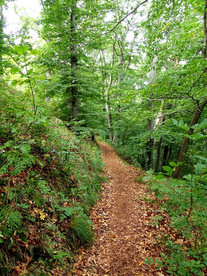 Schoeneburgweg (9)