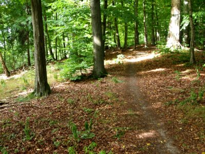 Schoeneburgweg (14)