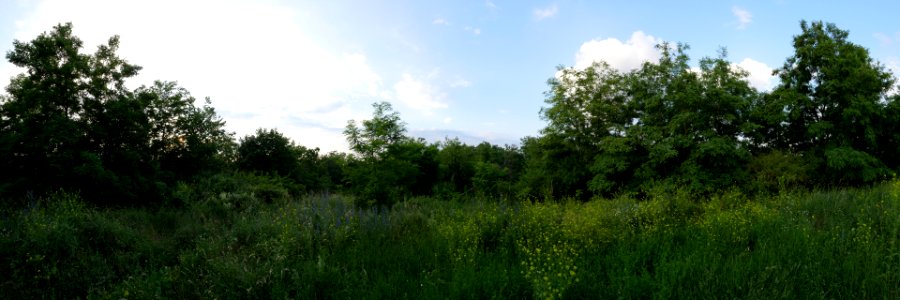 Schlehenberg.Berlin.Panorama photo