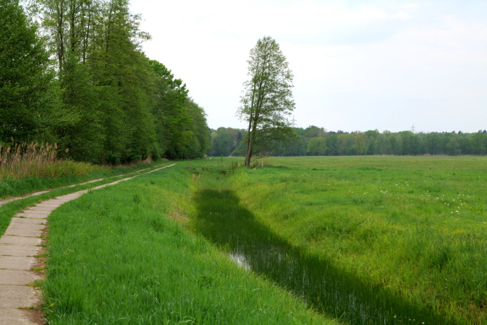 Schleuensches Luch 2020-05-10 21