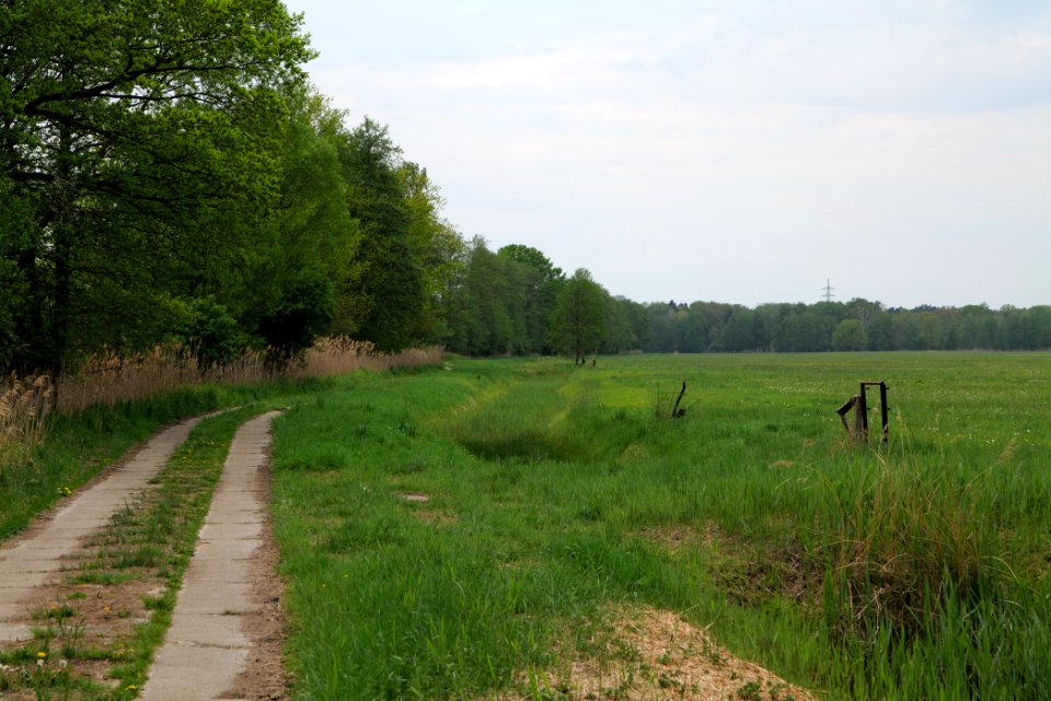Schleuensches Luch 2020-05-10 19
