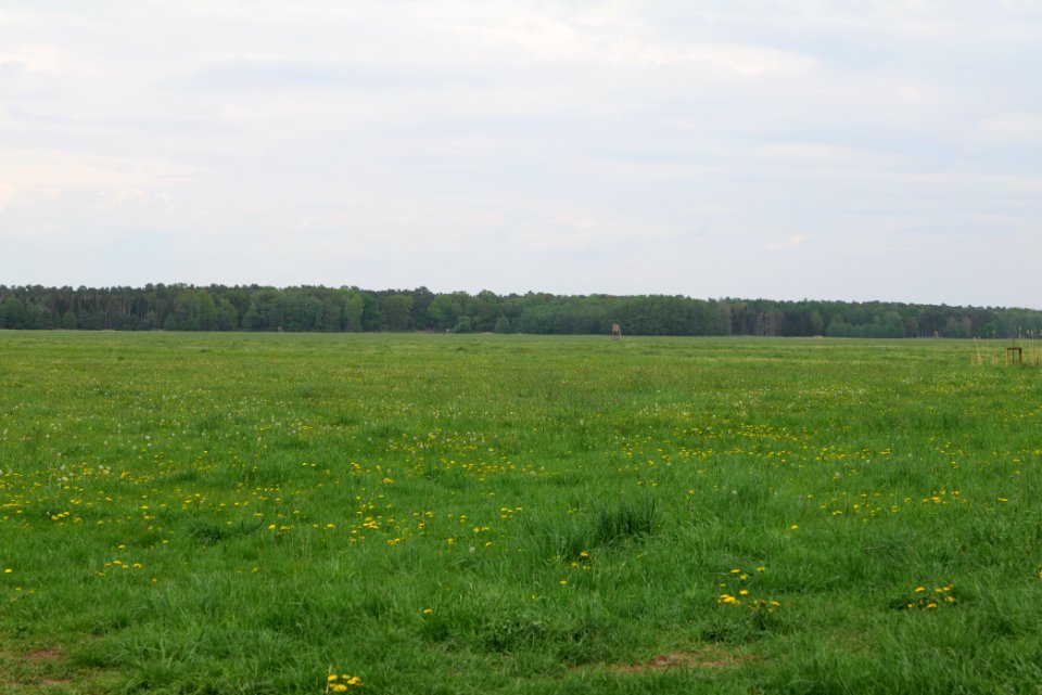 Schleuensches Luch 2020-05-10 02
