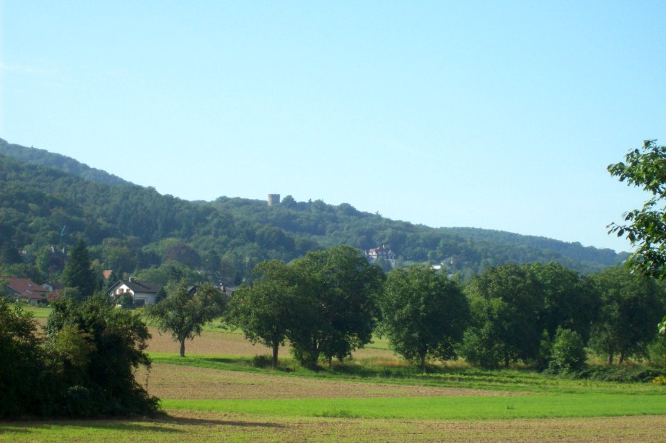 Schloss Alsbach Bergstraße