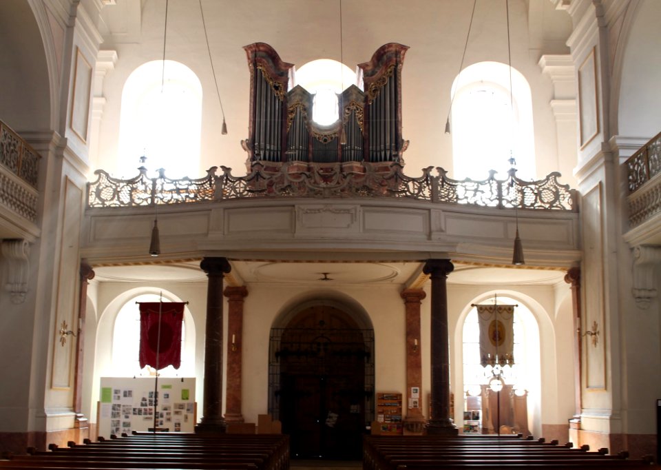 Schlehdorf St Tertulin Orgel