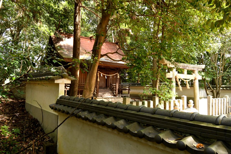Sanuki-jinja, honden