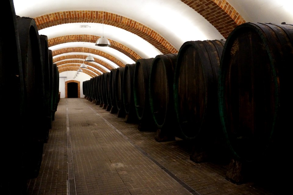 Sanvin Winery cellars, Slovak Republic