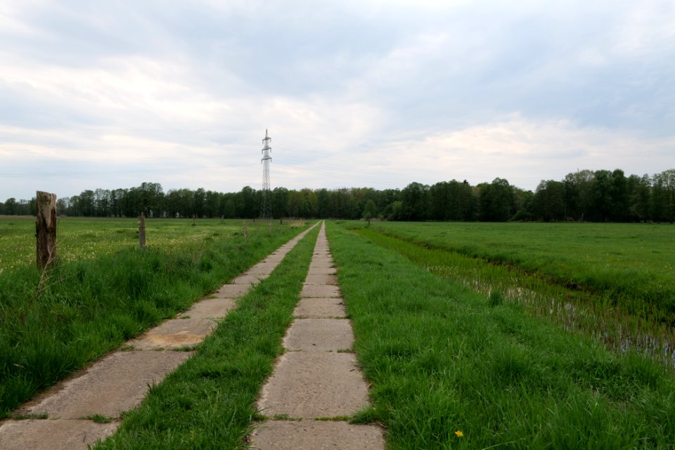 Schleuensches Luch 2020-05-10 27