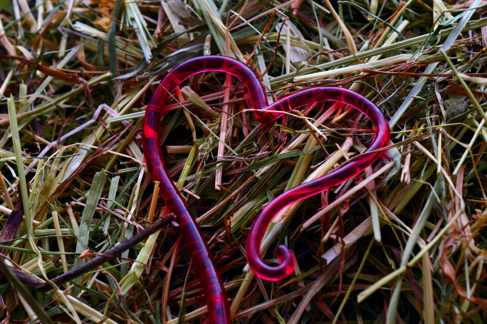 Valentine's day together romance