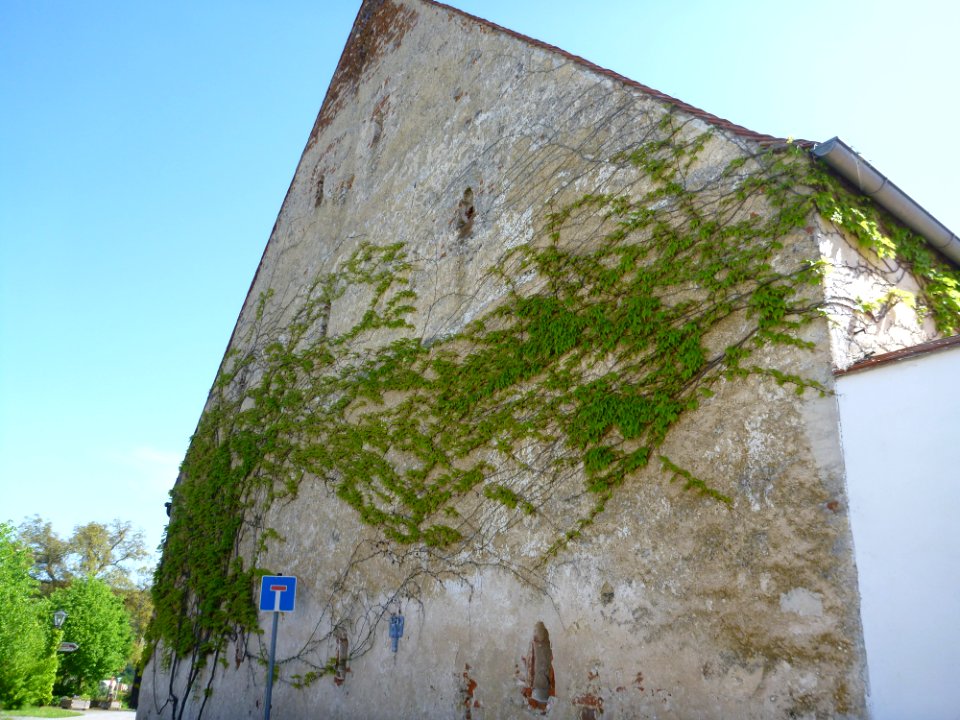 Schloss Eggersberg7