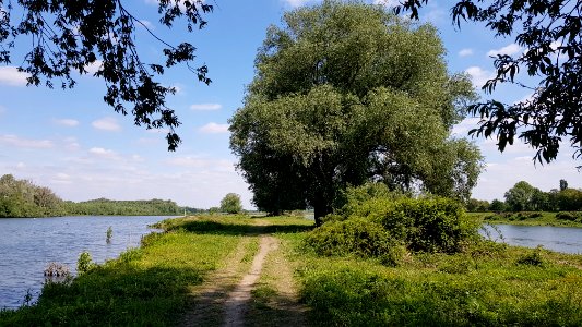 Smeermaas-Grenspaal 107B (BE-NL) (4)