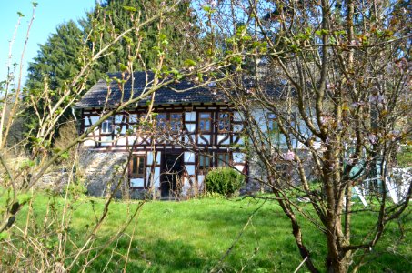 Schloßborn, Hasenmühle (3)