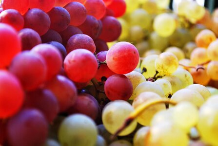 Food fruit grapes