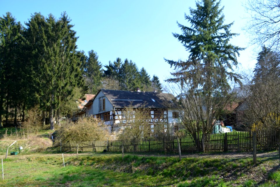 Schloßborn, Hasenmühle (2)