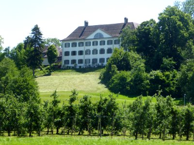 Schloss Eppishausen (TG)