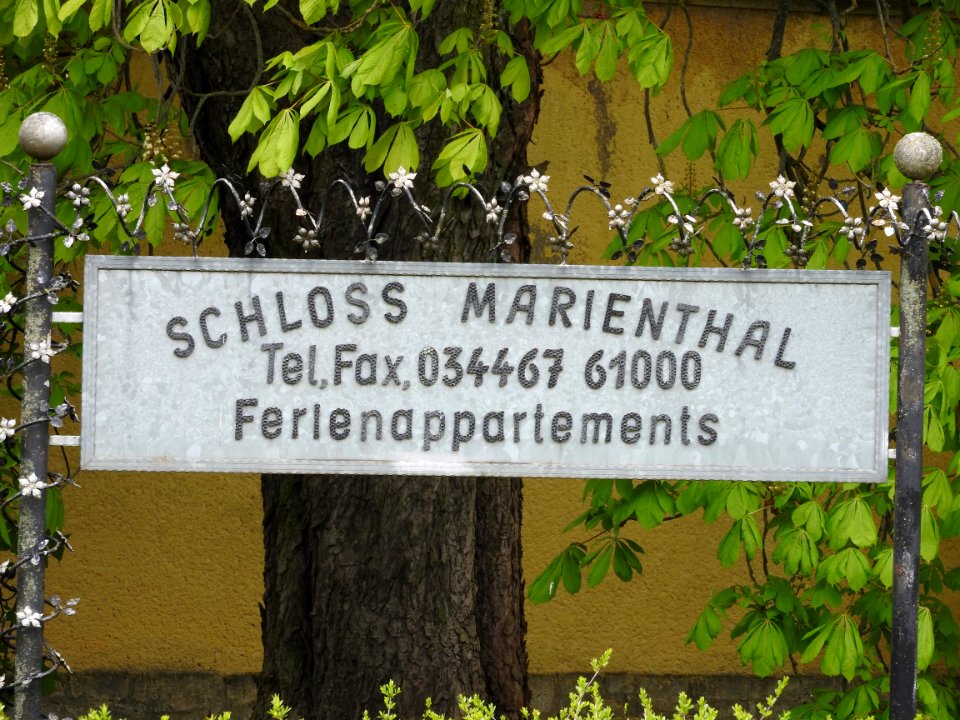 Schloss Marienthal (Eckartsberga) 11