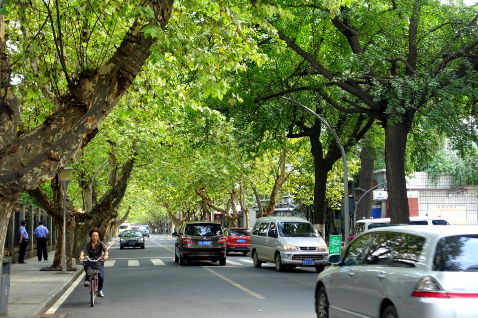 Shangye Street - Chengdu, China - DSC05295