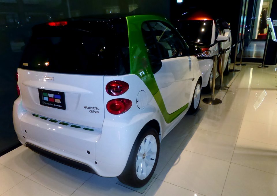 Smarpy & smart fortwo electric drive (1)
