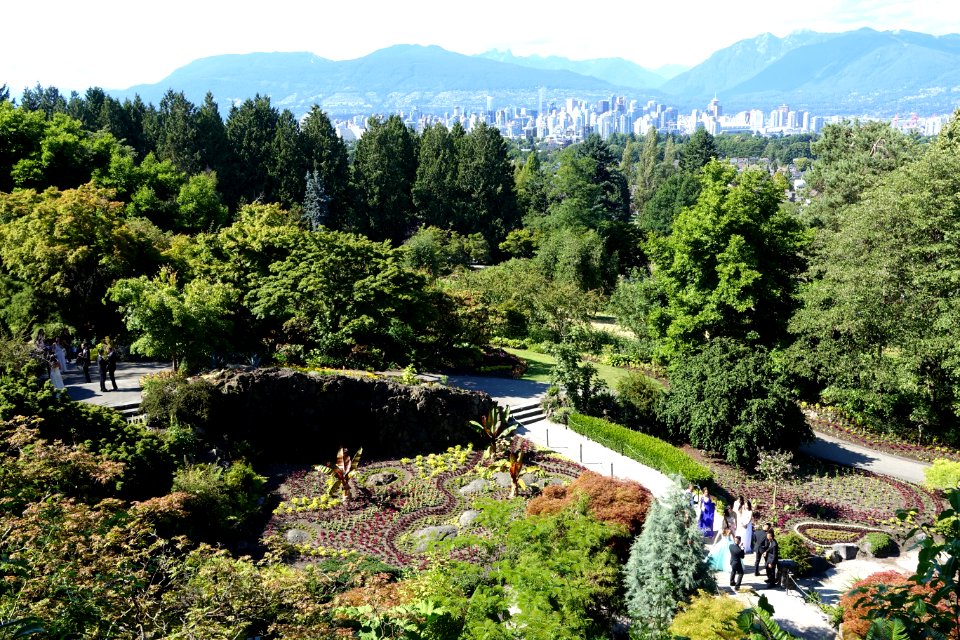 Small Quarry Garden - Queen Elizabeth Park - Vancouver, Canada - DSC07585