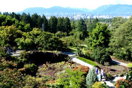 Small Quarry Garden - Queen Elizabeth Park - Vancouver, Canada - DSC07585 photo