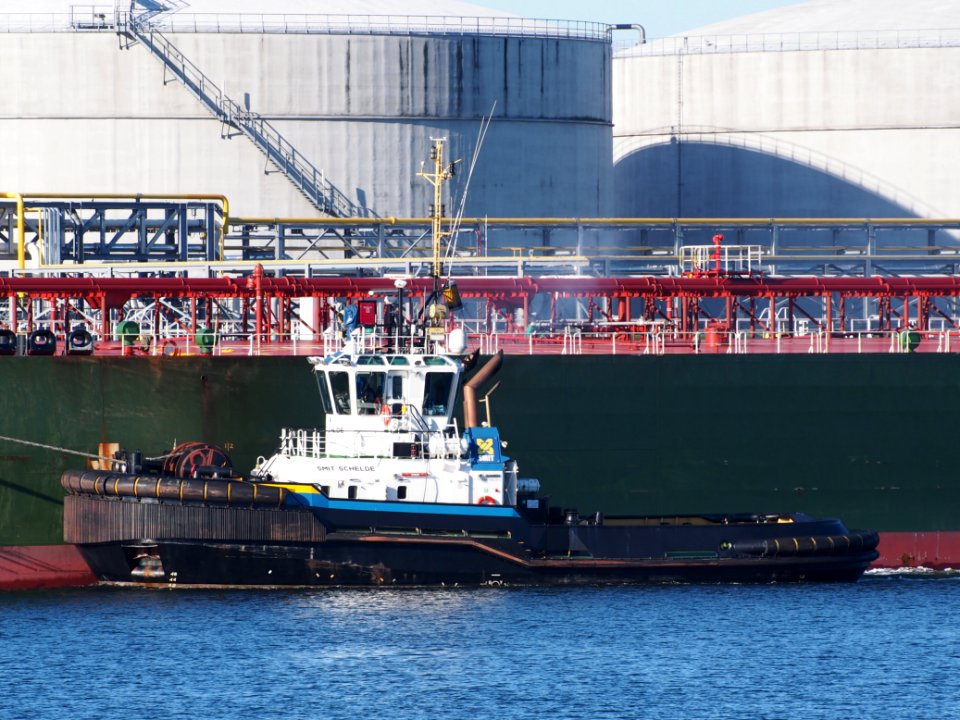Smit Schelde (tugboat, 2008), IMO 9402433, Port of Rotterdam