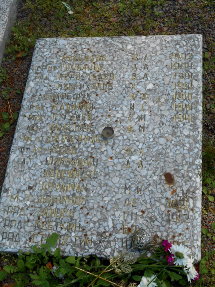 Smolensk - Mass Graves 260 - Glushenki - 10