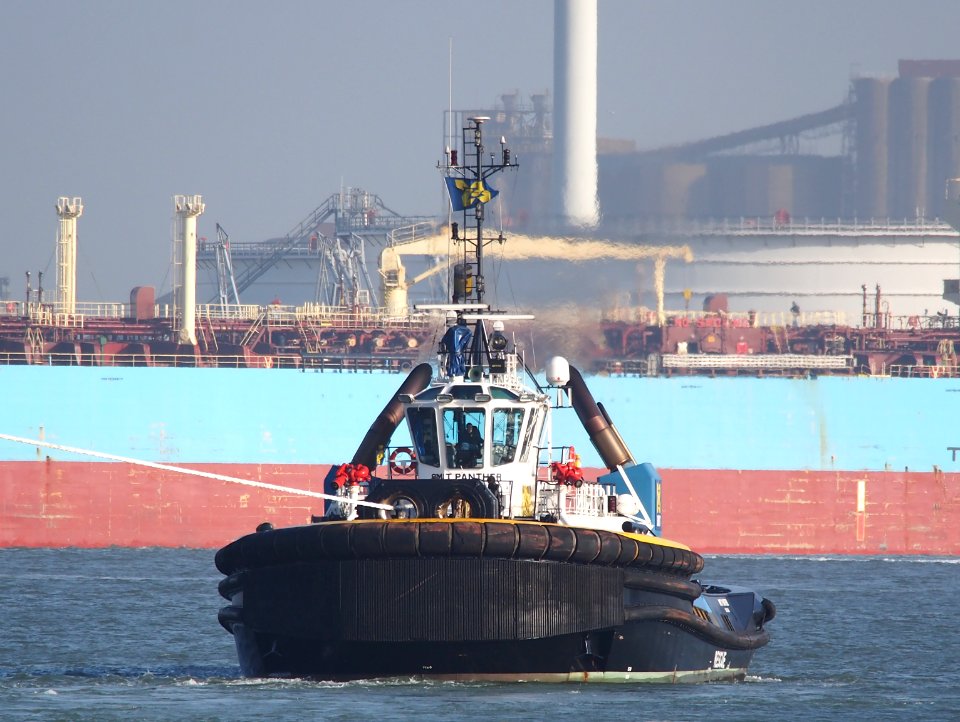 Smit Panther (tugboat, 2009) IMO 9434814 Callsign C6XV7 Amazonehaven Port of Rotterdam pic5
