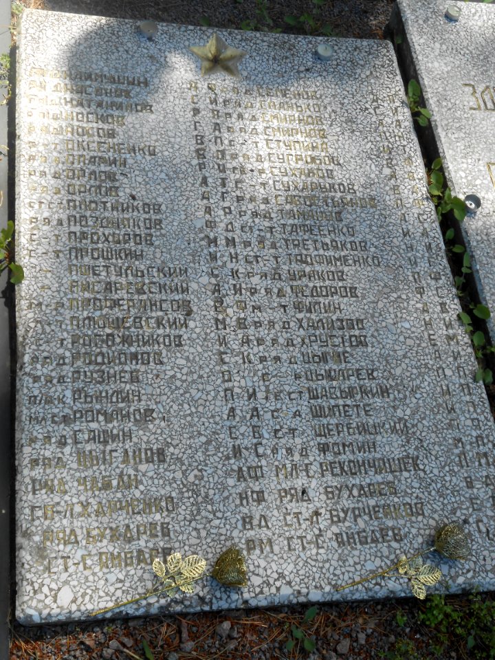 Smolensk - Mass Graves 260 - Glushenki - 06