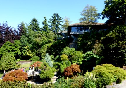 Small Quarry Garden - Queen Elizabeth Park - Vancouver, Canada - DSC07588 photo