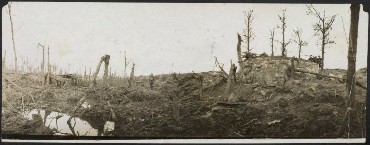 Smashed Boch fortress and trenches, Bestanddeelnr 158-2812