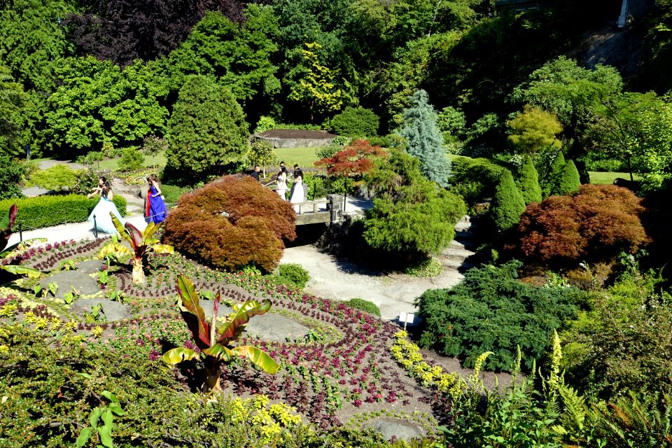 Small Quarry Garden - Queen Elizabeth Park - Vancouver, Canada - DSC07590