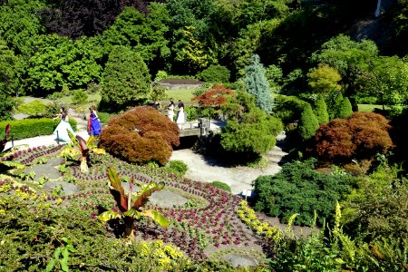 Small Quarry Garden - Queen Elizabeth Park - Vancouver, Canada - DSC07590 photo