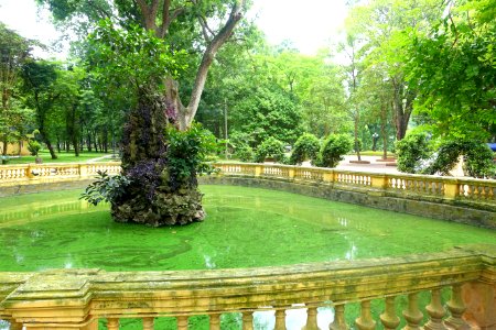 Small pond - Hanoi Botanical Garden - Hanoi, Vietnam - DSC03610