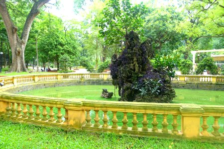 Small pond - Hanoi Botanical Garden - Hanoi, Vietnam - DSC03613
